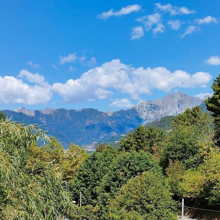 Casa Del Nonno Gino Βίλα Pietrasanta Εξωτερικό φωτογραφία